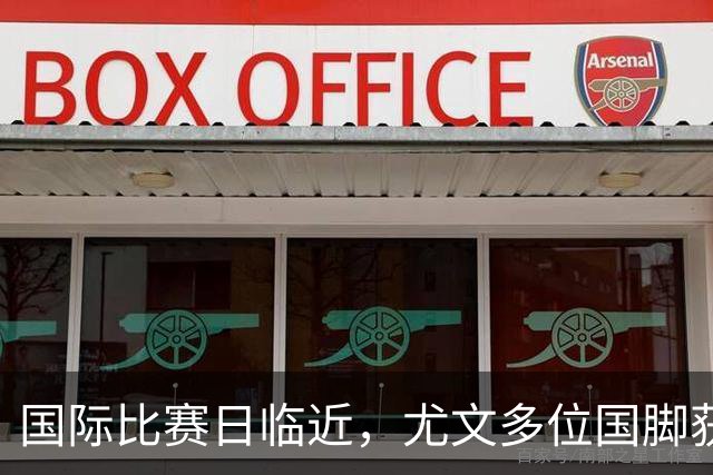 国际比赛日临近，尤文多位国脚获征召，仅1人入选意大利男足